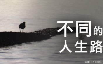 黑网提现被拒绝怎么回事有啥办法(图)