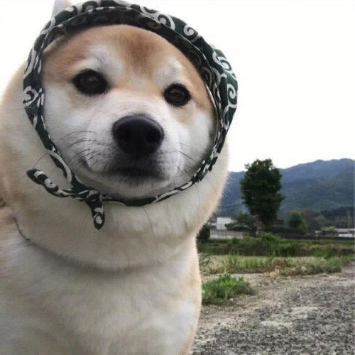 网上赢钱了提不出款怎么办如何才能解决(图)