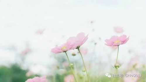网上被黑账户异常审核不能提 化解方法(图)