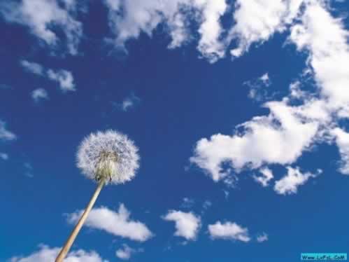 网络上王头延迟未回传多久才能出款 破解方式(图)