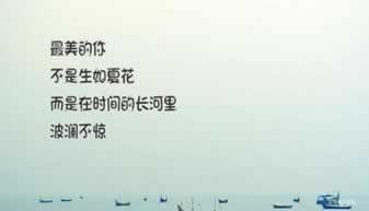 网络出黑是有技术的吗大家怎么弄(图)