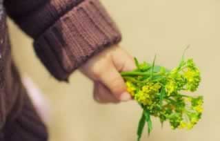 网络提款遇到被黑客服用 处理策略（图）
