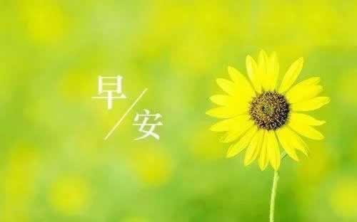 提款维护24小时真的吗 应对方式(图)