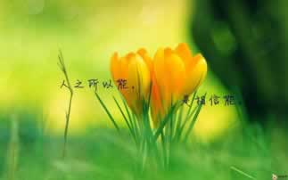 平台网站维护无法出款的原因 化解思路(图)