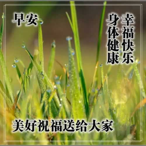 网上平台赢钱在玩系统显示升级提现时失败了 处理对策(图)