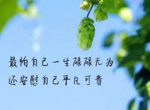 在黑网遇到异常提现失败被黑教你怎么应对(图)