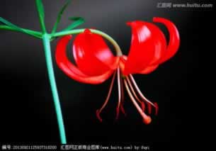 专业处理目前风控审核一直升级怎样处理(图)
