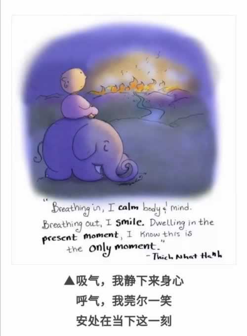在黑网营前提款提不出来客服一直说提交风控部门审核到底怎么弄(图)