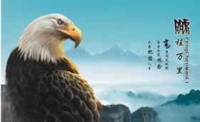 网上被黑无效还能提款成功吗 处理方案(图)