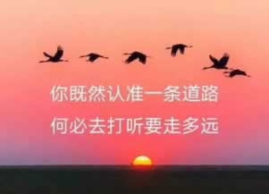 风控部门检测注的单存在异常数据未同步完成不能提现提款要怎么解决(图)