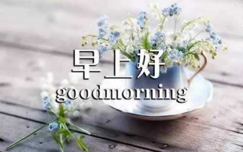 取款被黑教程视频 化解策略（图）