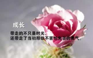 网站不给出款财务清算先出款后收费 解决办法(图)
