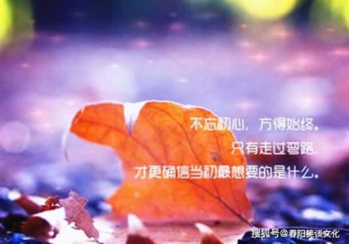 被黑怎么追了无法出款碰到了怎么解决（图）