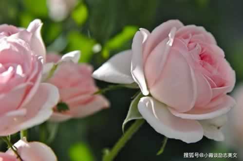 在黑网被黑账号IP登录异常如何挽回(图)