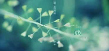 揭秘出款通道异常被黑维护审核取不了款怎么挽回(图)