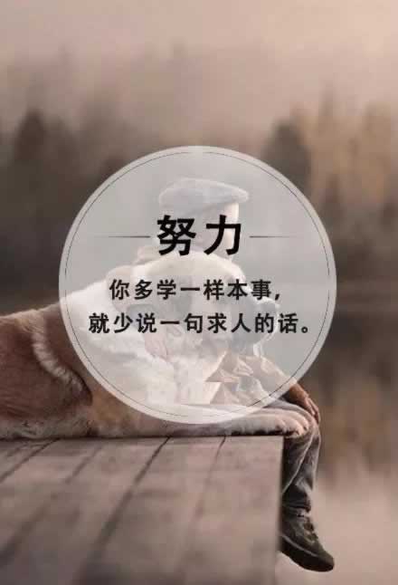审核一直不能提款 处理方式(图)