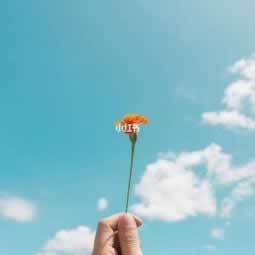 碰到账户违规下注提不了款 化解方法(图)