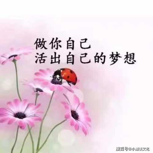 在网上遇到抽查审核大家如何挽回(图)