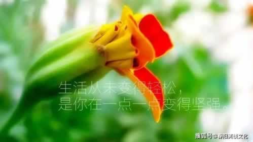 维护审核风控在怎么办到底怎么避免(图)