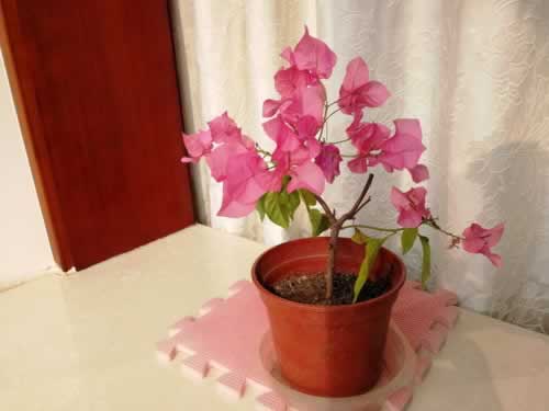 网络平台客服说系统风控审核取款失败的操作方案（图）