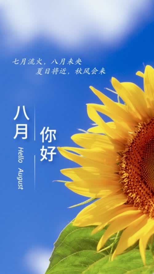 因为网络波动导致提现失败怎么解决 化解对策（图）