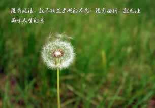 在黑平台上提取不成功风控部门审核 补救策略(图)