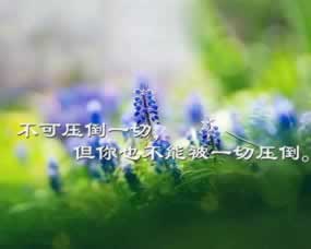 在网上黑平台显示出款端口维护教你挽回(图)
