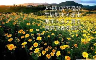 在网上的平台被黑出款通道维护风控审核提不了款该注意(图)