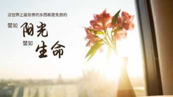 维护不给取款 处理思路(图)