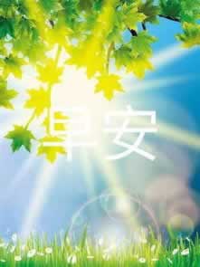 回复藏分的维护取款失败真能成功吗 处理思路(图)