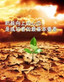 网上系统抽查审核账号异常提不款大家如何面对(图)