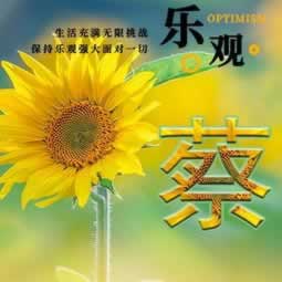 被审核7天一定是被黑 补救思路(图)