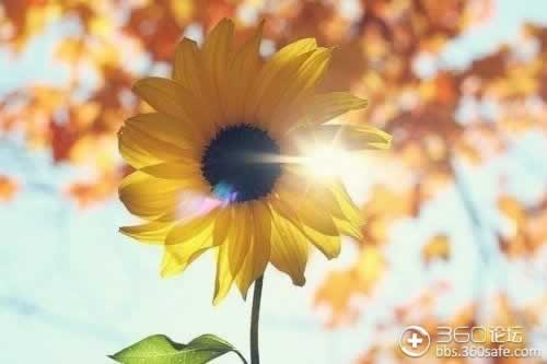 遇到被黑流水不够提款失败怎么避免(图)