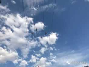 钱被网站黑了怎么要回来如何是好(图)