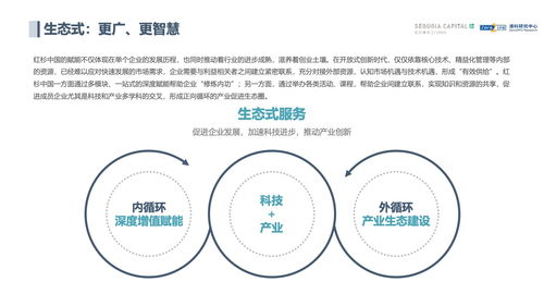 网上黑平台被黑系统审核我的数据不给提款教你怎么处理(图)