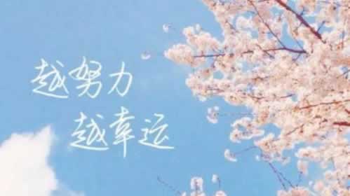 在黑平台上 化解思路(图)