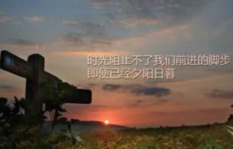 网上系统自动抽查审核不能到账到底怎么避免(图)