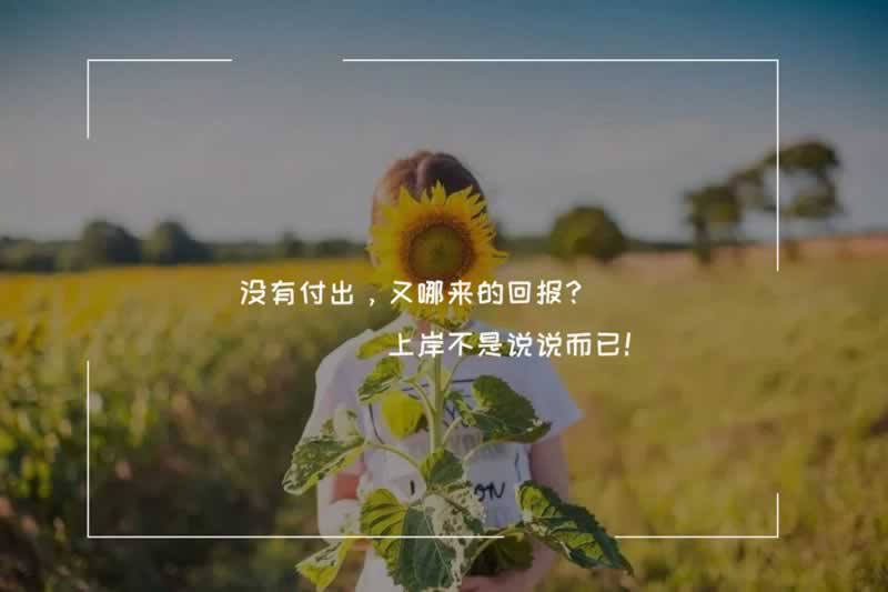 碰到系统自动抽查审核怎么处理 操作方法(图)