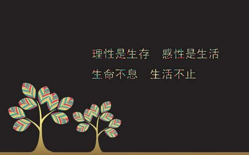 网站维护不能提款 解决对策(图)