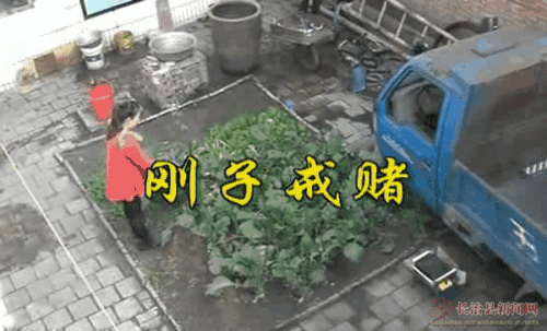 在365被黑一直说数据审核总提现失败 操作办法(图)